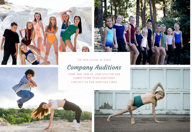 Auditions Website